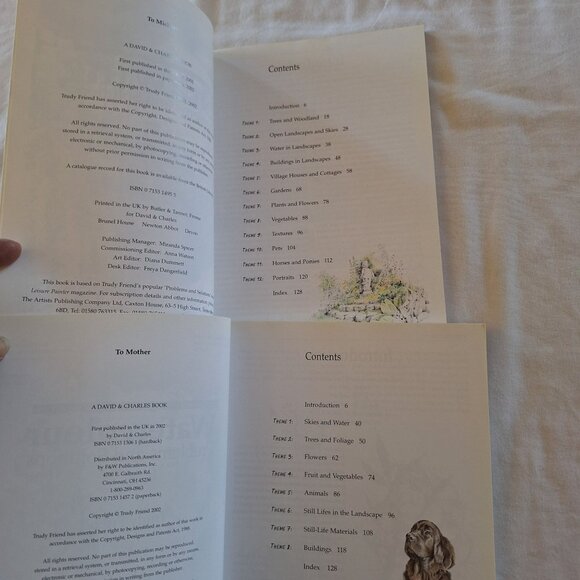 2 Trouble-Shooting Drawing & Watercolor Problems And Solutions By Trudy Friend - Picture 3 of 6